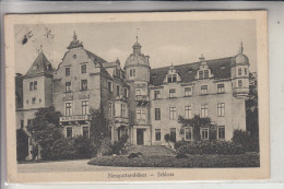 0-4352 NIENBURG - NEUGATTERSLEBEN, Schloss, 1929 - Bernburg (Saale)