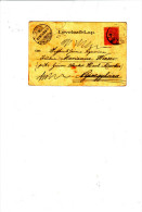 UNGHERIA  1899 - Cartolina - Fiori - Storia Postale