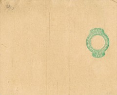 9616. Faja De Publicacion Entero Postal BRAZIL,  Brasil  20 Reis ** - Postal Stationery