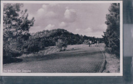 Schoorl - De Schoorlse Zeeweg - Schoorl