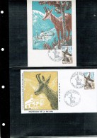 3 DOCUMENTS  (mAX-CARD+fdc+eNCART) ISARD REBECO CHAMOIS - Grey Partridge