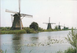 NL.- Kinderdijk. Hollandse Molens. Moulins à Vent. Dutch Windmills. Holländische Mühlen. 2 Scans - Kinderdijk