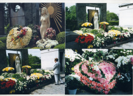 DALIDA LOT DE 11 PHOTOS 1997 ET 2008 TOMBE FLEURIE DE DALIDA - Photos