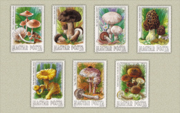 HUNGARY 1984 FLORA Plants EDIBLE MUSHROOMS - Fine Set MNH - Nuovi