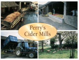 (386) Tractor - Tracteur At Cider Mills - Tracteurs