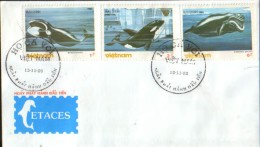 Vietnam,Special Envelope , Cetacea - Whales , Balaena Borealis , Orcinus Orca , Eubalaena Glacialis - Wale