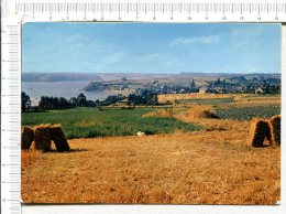 ST SULIAC   -  Vue Sur  St  Suliac Et La  Rance Prise Du Mont  Garrot - Saint-Suliac