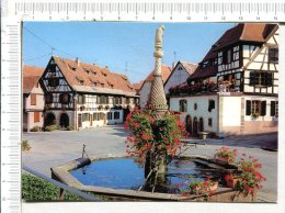 DAMBACH  LA  VILLE  -  La Place Du  Marché Avec Sa Fontaine  Fleurie Et Ses Vieilles Maisons Alsaciennes - Dambach-la-ville