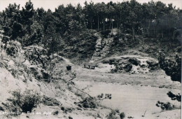 Terschelling Bos En Duin - Terschelling