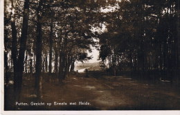 Putten Gezicht Op  Ermelo , Met Heide - Putten