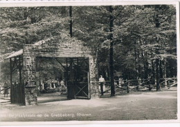 Rhenen   Militaire Begraafplaats Op De Gebbeberg - Rhenen