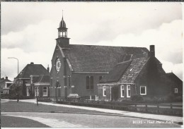 NL.- Beers - Bears - Nederlands Hervormde Kerk. Nederland. 2 Scans - Other & Unclassified