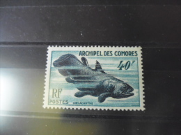 COMORES TIMBRE DE COLLECTION   YVERT N° 13** - Unused Stamps