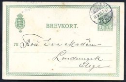 DENMARK Local Postal Stationery 1918, NICE! - Storia Postale