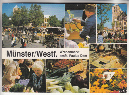 COMMERCE : MARCHE Market - Universitätsstadt MÜNSTER Westf. Wochenmarkt Am St. Paulus-Dom - CPM GF - Muenster