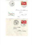 Enveloppes 1er Jour Ayant Voyagé. Nouméa Bourail. Tampon De Poste De Bourail.1958. Déclaration Droits De L'homme. - Briefe U. Dokumente