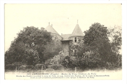 Cp, 85, Chantonnay, Restes Du Vieux Château Du Pally - Chantonnay