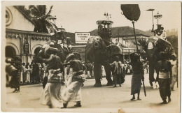 India Real Photo Elephant Procession - Sri Lanka (Ceylon)