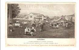 BONNIERES - YVELINES - VACHES LAITIERES DES ETABLES CENTRALES - FERME - CONCOURS AGRICOLE DE MANTES 1913 - Bonnieres Sur Seine