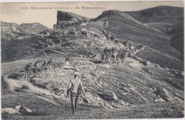 Cpa,manoeuvres Alpines En Reconnaissance à Pieds Et à Cheval,tenue Militaire,guerre 14-18,rare - Manovre