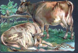 CHROMO DECOUPIS - VACHES - FORMAT: 20,5 X 16,5 Cm - Animaux