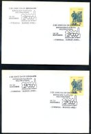 JUDAICA - ARGENTINA JERUSALEM DAY Cancel On 2 Covers 2002 VF - Judaisme