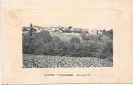 MONTFORT EN CHALOSSE - Vue Générale - Montfort En Chalosse