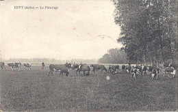 ERVY  LE PATURAGE     CARTE ANIMEE     VACHES   Tampon Militaire De Chaource - Ervy-le-Chatel