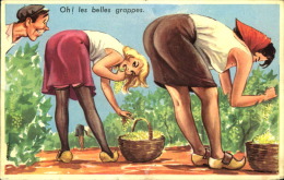CARTE GLACEE PHOTOCHROM N°774 OH LES BELLES GRAPPES - Humour