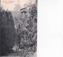 AK Sächsische Schweiz  - Bastei - Amselgrund - Mönch - Engler´s Postkarte  (6893) - Bastei (sächs. Schweiz)