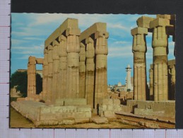 PAPYDUS  COLUMNS IN LUXOR TEMPEL - EGYPT - 2 Scans (Nº07848) - Luxor