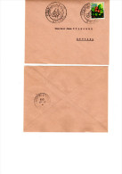 Enveloppe 1er Jour Ayant Circulé. Tampon Postal Bourail 1958. Très Bon état. Fleurs D´outre Mer - Brieven En Documenten