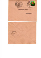 Enveloppe 1er Jour Ayant Circulé. Tampon Postal Bourail 1958. Très Bon état. Fleurs D´outre Mer - Covers & Documents