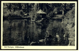 Bad Kissingen  -  Liebfrauensee  -  Ansichtskarte Ca.1960    (3510) - Bad Kissingen