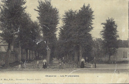 CHAOURCE   -LES PROMENADES    BELLE CARTE ANIMEE - Chaource
