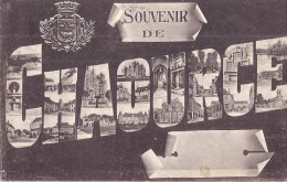 CHAOURCE   SOUVENIR DE-  VUE DE LA VILLE A TRAVERS LES LETTRES - Chaource