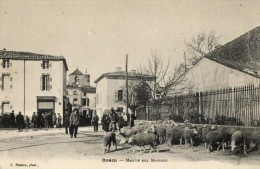 BRAM -  MARCHE AUX MOUTONS - Bram