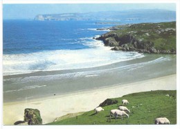 The North Coast Near Durness Sutherland - Sutherland