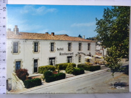 CPM  (79) Deux Sèvres - MAULEON - Hôtel De La Terrasse" - D Durand - Chef De Cuisine - Mauleon