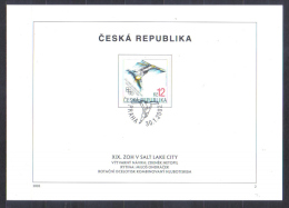 Czech   Mi 313   FIRST DAY SHEET Winter Olympics Ski Freestyle    2002 - Inverno2002: Salt Lake City - Paralympic