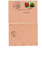 Enveloppe 1er Jour Ayant Circulé. Tampon Postal Bourail 1958. Très Bon état. Fleurs D´outre Mer - Brieven En Documenten
