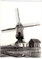 GIERLE Spekmolen  - De Molen - Lille