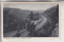 0-6540 STADTRODA - ZIEGENMÜHLE, Bahnstrecke Im Zeitzgrund - Stadtroda