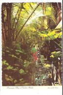 ST THOMAS, Virgin Islands ;Planted Alleys Off  Main Street , Built By The Danes With Tracks For Ship Supplies , 1976 - Virgin Islands, US