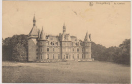 Dongelberg -  Le Chateau . - Geldenaken