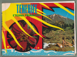 Guide  Touristique De TENERIFE (1973) - Práctico