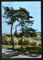 CERISIERS . Croix De Saint Vincent . Voir Recto - Verso    (S489) - Cerisiers
