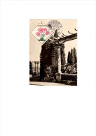 Superbe Carte Postale 1er Jour D´émission 1959. Photo Du Jardin Exotique Monaco. Oeuillet Princesse Caroline - Lettres & Documents