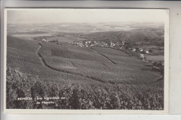 L 5500 REMICH, Weinberge An Der Mosel - Remich