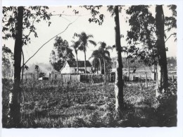 Carte Photo Bresil Porto Alegre Paysage Typique - Porto Alegre